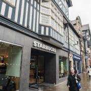 Starbucks customers will be able to buy two new Matcha drinks in supermarkets from this month