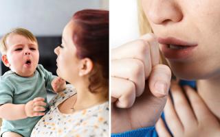Whooping cough (pertussis), also known as the 100-day cough, is a bacterial infection of the lungs and breathing tubes, according to the National Health Service ( NHS).