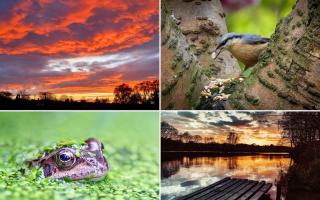 15 of the best photographs taken in St Helens this April