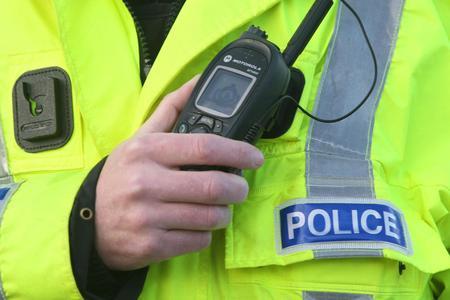 Girl charged with having 'imitation handgun' at Lagrange Arcade car park - Vimarsana News